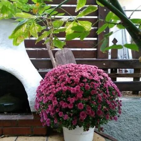 Cosy Vacation In Апартаменты Переа