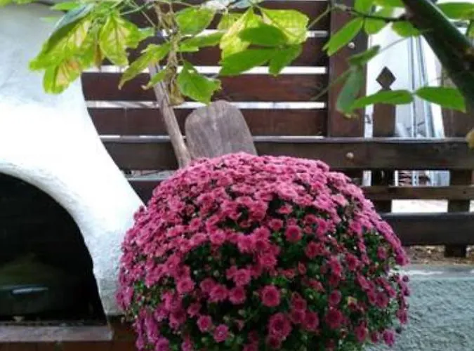 Cosy Vacation In Διαμέρισμα Περαία